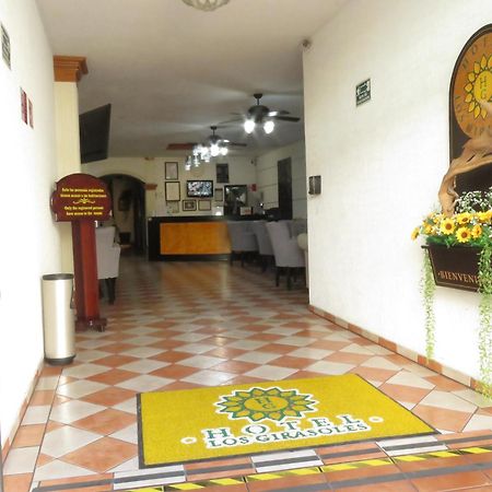 Hotel Los Girasoles Tepic Zewnętrze zdjęcie